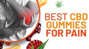 Provence CBD Gummies UK Gummies UK